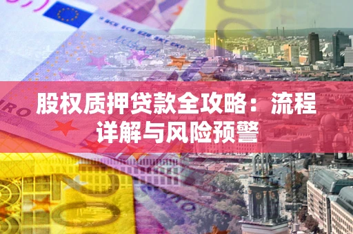 北京股权质押贷款全攻略：流程详解与风险预警