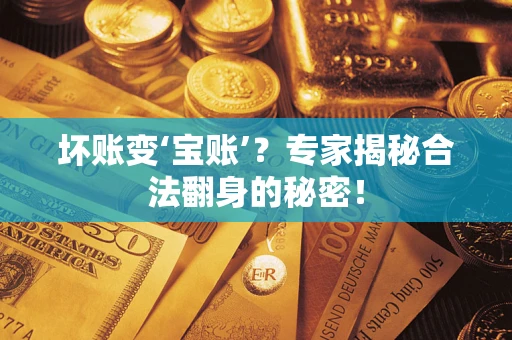 北京坏账变‘宝账’？专家揭秘合法翻身的秘密！