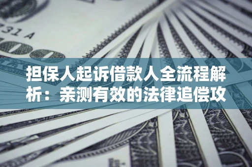 北京担保人起诉借款人全流程解析：亲测有效的法律追偿攻略