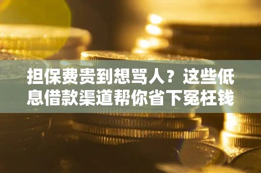 北京担保费贵到想骂人？这些低息借款渠道帮你省下冤枉钱