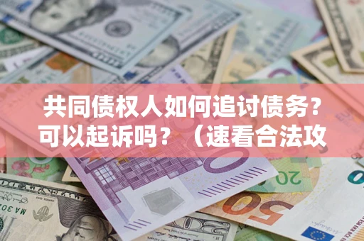 北京共同债权人如何追讨债务？可以起诉吗？（速看合法攻略）