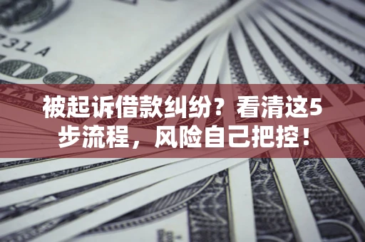 北京被起诉借款纠纷？看清这5步流程，风险自己把控！