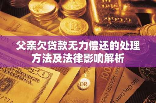 北京父亲欠贷款无力偿还的处理方法及法律影响解析