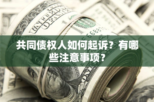 北京共同债权人如何起诉？有哪些注意事项？