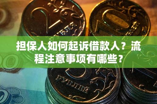 北京担保人如何起诉借款人？流程注意事项有哪些？
